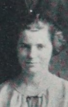 M. Scheibel